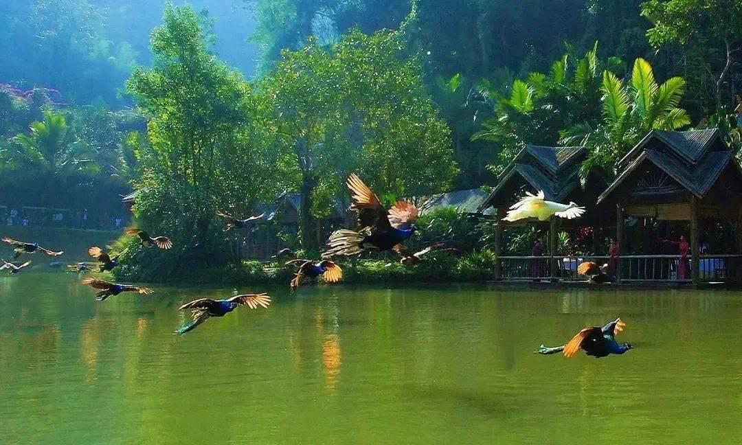 睡前吃冰的东西会导致什么后果？一天当中什么时间吃冰最好？游戏画面